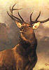 Edwin Henry Landseer buck deer painting