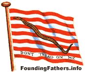 Navy Jack Rattlesnake Flag